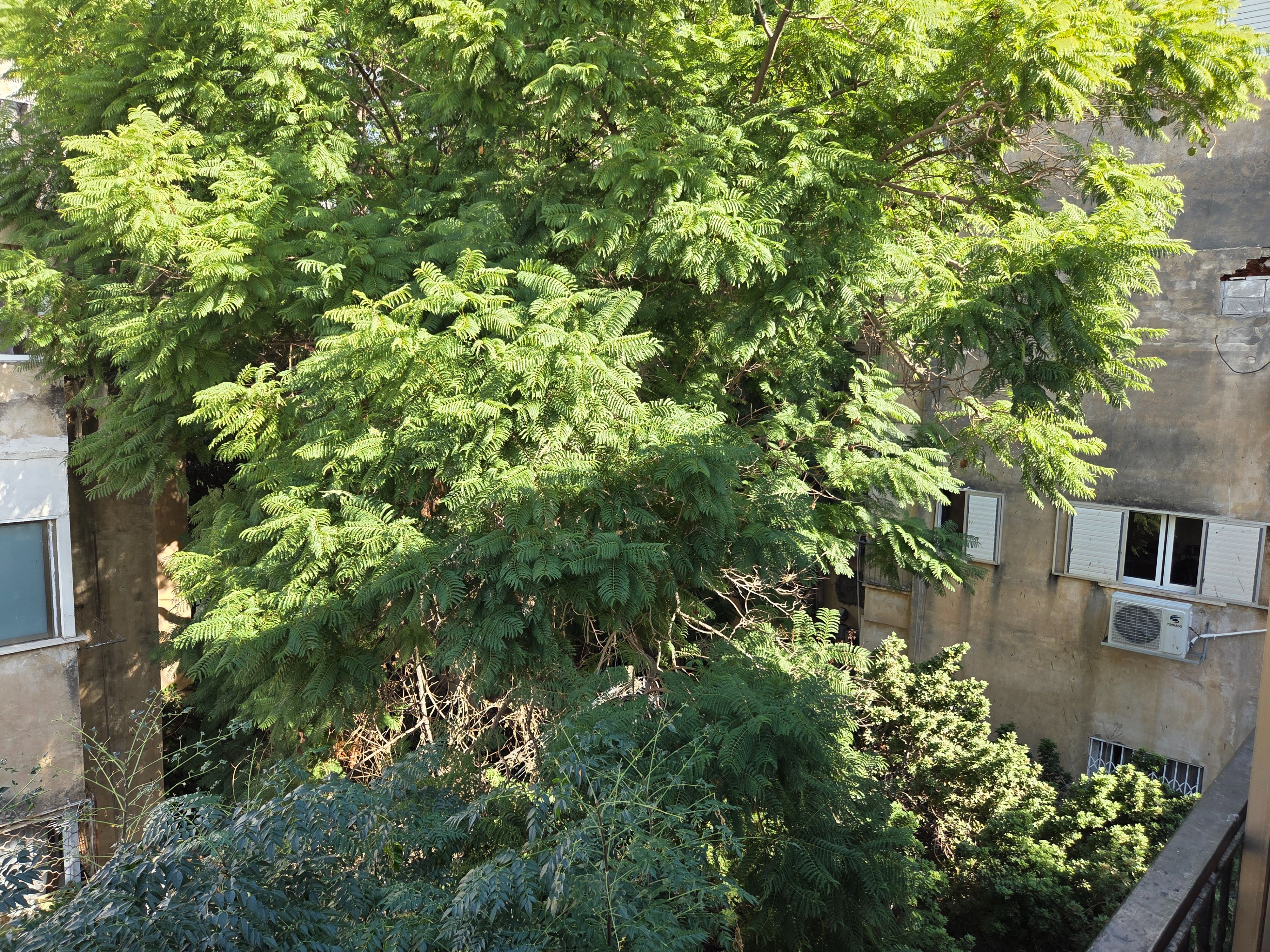 מהסמארטפון שלי